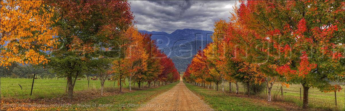 Peter Bellingham Photography Shades of Autumn - VIC (PBH4 00 13307)